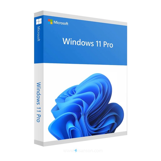 Windows 11 Pro OEM Lisans Anahtarı